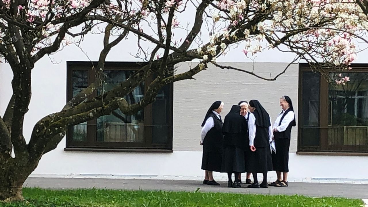 Schwestern in Gemeinschaft